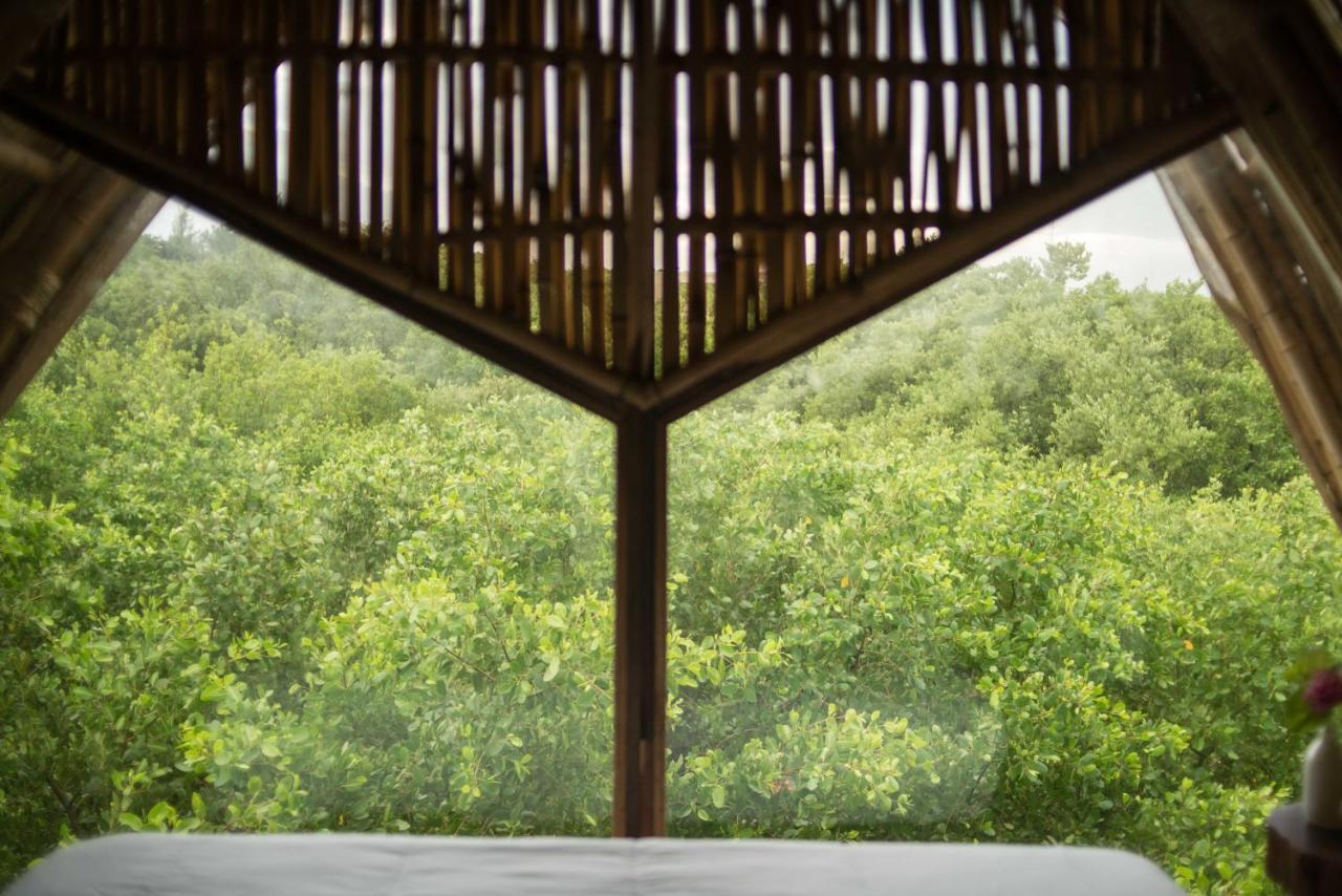 Mamasan Treehouses & Cabins 툴룸 외부 사진